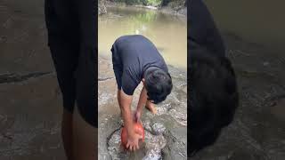 Download Lagu KURAS KOBANGAN SUNGAI DAPAT IKAN CHANNA!!! #channa #mancing #ikan MP3