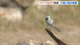 絶滅危惧種の野鳥の繁殖を目指して　工場の遊休地に「バードピア」が完成　愛知・半田市(2022/11/9)