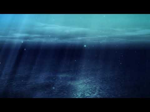 Hakol Mishamayim Mordechai Shapiro הכל משמיים מרדכי שפירא 