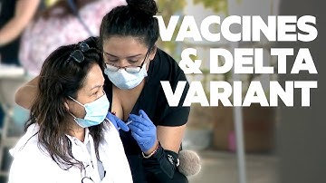 How The Delta Variant Affects Vaccinated People