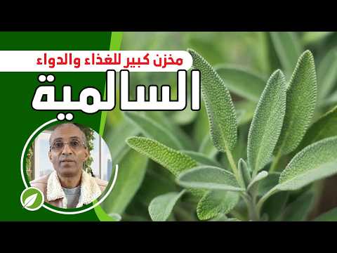 شاهد حقائق علمية وطبية ستدهشك حول فوائد الميرمية التشافي