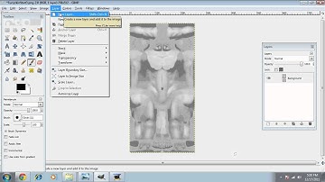 (IMVU) (GIMP) Changing Skin Color