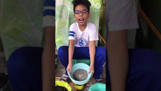 How to make a Dish Garden | Performance Task in H.E.L.E. 5