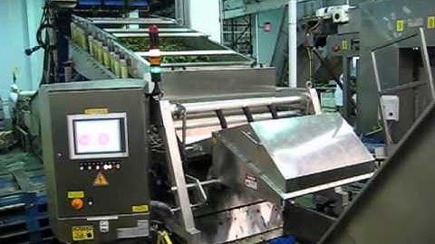 BEST Helius laser sorter   spring mix and baby greens