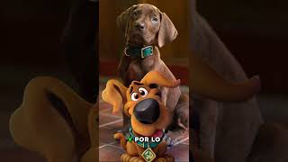 SCOOBY DOO de la serie de NETFLIX #scoobydoo #Netflix #series #shorts