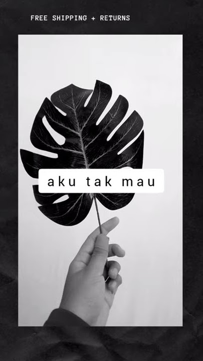 Story WA - 'Jera' Andmesh Kamaleng