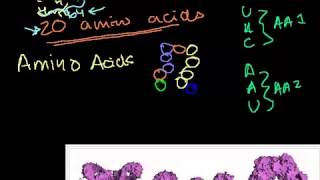 DNA الحمض النووي