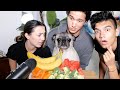 Pug Tries Vegetables And Fruit For The First Time!