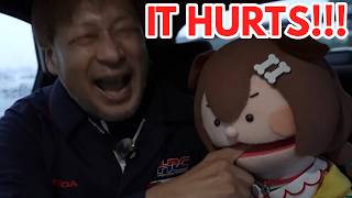 Download Lagu Korone Bites His finger MP3