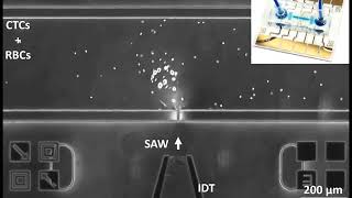 Focussed acoustic waves