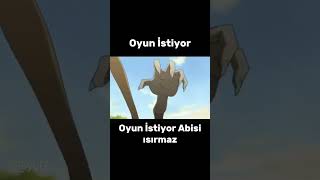 Sokaktaki Canlarımız