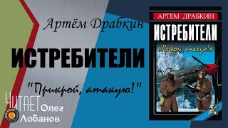 Артём Драбкин. Истребители. \