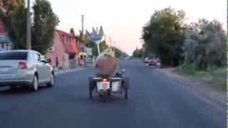 Нептун в Затоці(, 2013-08-03T14:53:26.000Z)
