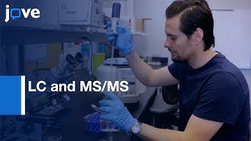 LC and MS/MS for Quantitative Metabolomics of Baker