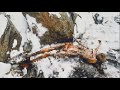 5300年前に殺された男が山から発見された‥