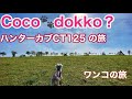 【CT125】愛犬とハンターカブに乗って北へ北へ