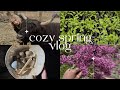 Cozy Spring Vlog ❀ | Seed Starting, Highland Cow Petting, Bone Throwing &amp; More