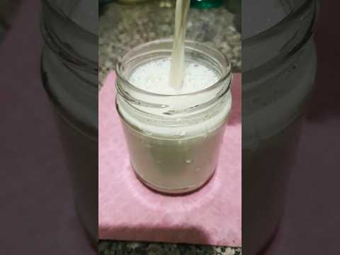 حليب بأجمل رغوة لأحلى شاى ما احلاه حبات طعام