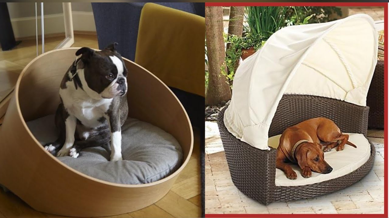 creative dog beds