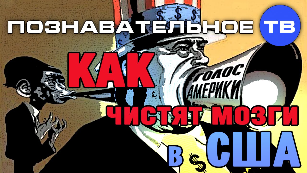 Мозги в авто
