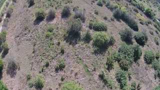 DJI00192