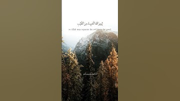 رعانا الله من المذكور في آية من سورة الأنفال | القارئ ياسر الدوسري