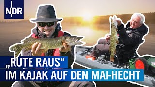 Die MaiHechte vom Güstrower Inselsee | Rute raus, der Spaß beginnt (2) | NDR