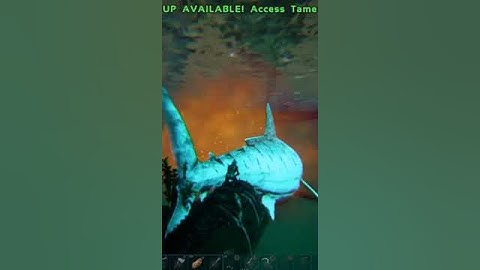 Fighting an ALPHA Megalodon!