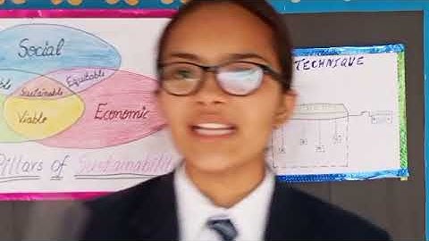 Appropriate Technology for Sustainable Development