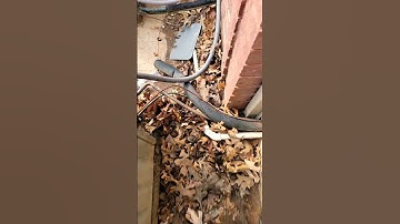 Mind-blowing reveal after the txv fails!