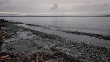 Skydio 2 Drone Test Footage Seattle