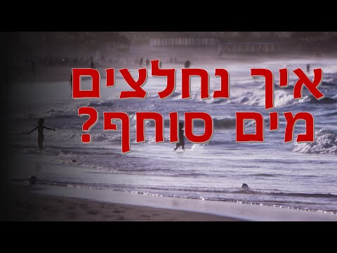 וִידֵאוֹ: מה עושים מדעני ים?