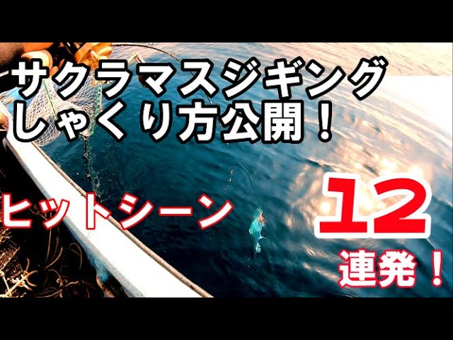 必見 サクラマスジギングのしゃくり方 ヒットシーン12連発 津軽海峡 Youtube