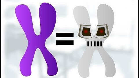 Total Synthesis of a "Functional" Designer Yeast Chromosome