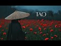 TAO Ethereal Zen Music For Meditation Healing Japanese Ambience TAO Ethereal Zen Music For Meditation Healing Japanese Ambience