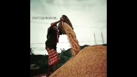 ولو بسط الله الرزق لعباده لبغوا في الأرض - تلاوة خاشعه