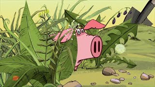 El Cerdito  episodios completos | El Cerdito de la historieta completa | serie animada divertida