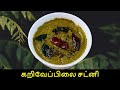      curry leaves chutney in tamil