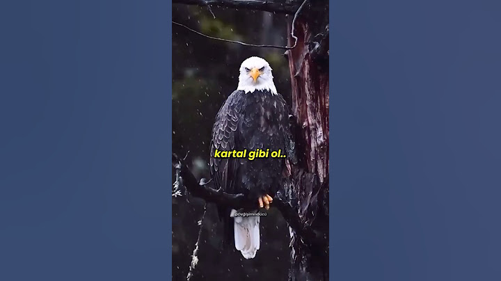 Seni aşağı çekenlere inat, kartal gibi yüksel!! 🦅💪👆