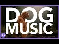 Dog Relaxation Music: 12 Hours of Calming Dog Music for All Breeds! (2021)
