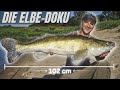 Ode an die Elbe | Doku 4K