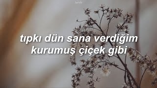 surl - dry flower (türkçe çeviri) Resimi