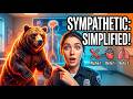 The sympathetic nervous system explained