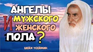 Ангелы мужского и женского пола? | Шейх Усеймин раhuмаhyЛлаh