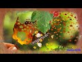 ОСЕННИЙ БЛЮЗ