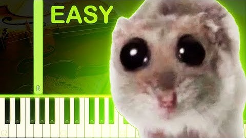 SAD HAMSTER VIOLIN MEME SONG - EASY Piano Tutorial