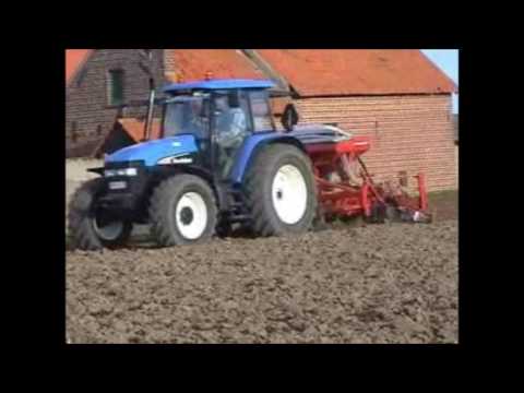 Video: Starwort (gras) - Gunstige Eigenschappen En Toepassingen Van Starwort. Middelgroot, Gewoon, Graan, Lancetvormig Stervormig