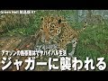 【Green Hell】アマゾンの熱帯雨林でサバイバルしていたらジャガーに襲われた【アフロマスク】