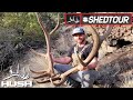 SHED TOUR | BEST BIRTHDAY SHED HUNT EVER | S4E06