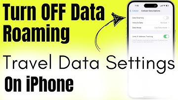 How to Turn OFF Data Roaming on iPhone | Travel iPhone Settings